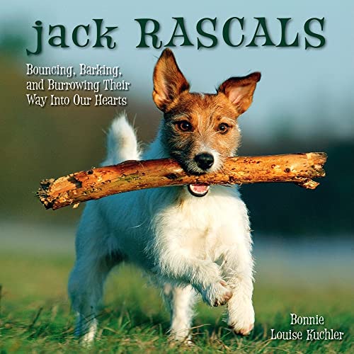 Beispielbild fr Jack Rascals : Bouncing, Barking, and Burrowing Their Way into Our Hearts zum Verkauf von Better World Books
