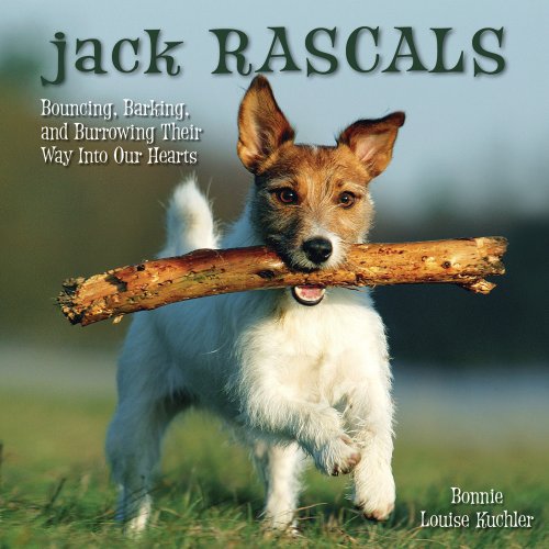 9781607550624: Jack Rascals: Bouncing, Barking, and Burrowing Their Way into Our Hearts