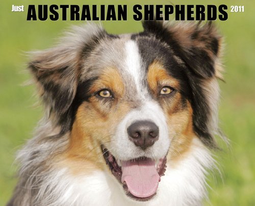 Australian Shepherds 2011 Wall Calendar (9781607550716) by Willow Creek Press