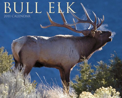 Bull Elk 2011 Wall Calendar (9781607550952) by Willow Creek Press