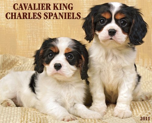 Cavalier King Charles Spaniels 2011 Wall Calendar (9781607551034) by Willow Creek Press