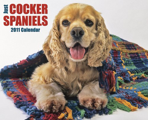 Cocker Spaniels 2011 Wall Calendars (9781607551102) by Willow Creek Press