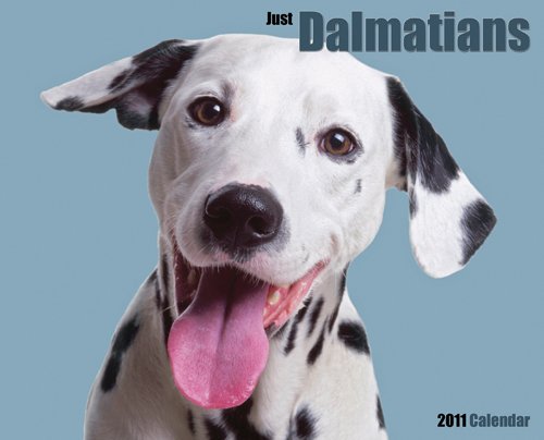 Dalmatians 2011 Wall Calendar (9781607551218) by Willow Creek Press