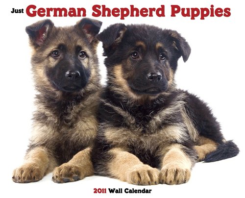 German Shepherd Puppies 2011 Wall Calendar (9781607551324) by Willow Creek Press