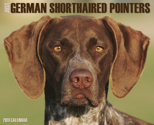 German Shorthaired Pointers 2011 Wall Calendar (9781607551348) by Willow Creek Press