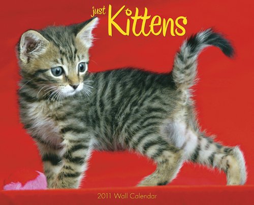 Kittens 2011 Wall Calendar (9781607551546) by Willow Creek Press