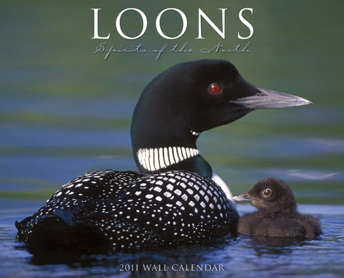 Loons 2011 Wall Calendar (9781607551621) by Willow Creek Press