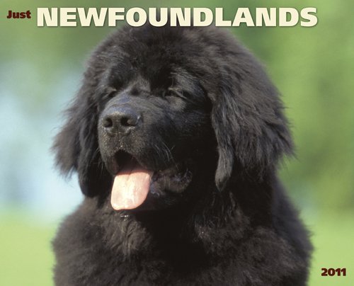 Newfoundlands 2011 Wall Calendar (9781607551713) by Willow Creek Press
