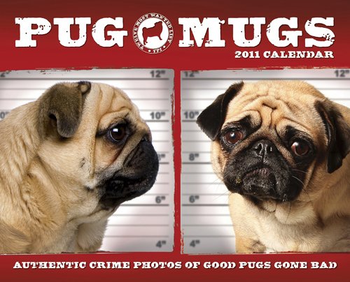 Pug Mugs 2011 Wall Calendar (9781607551843) by Willow Creek Press