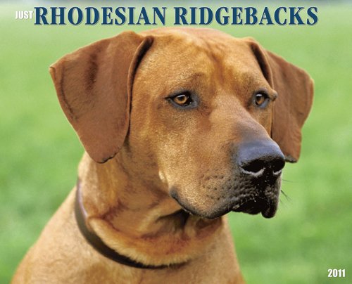 Rhodesian Ridgebacks 2011 Wall Calendar (9781607551881) by Willow Creek Press