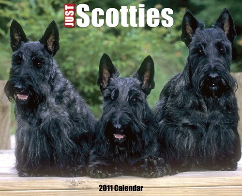 Scotties 2011 Wall Calendar (9781607551959) by Willow Creek Press