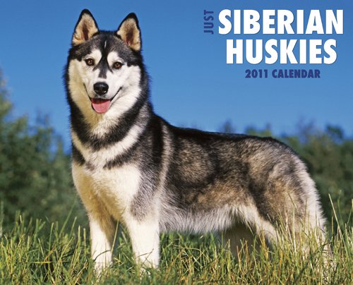Siberian Huskies 2011 Wall Calendar (9781607552031) by Willow Creek Press