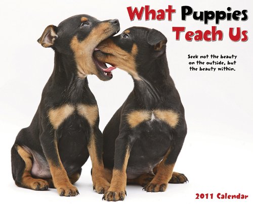 What Puppies Teach Us 2011 Wall Calendar (9781607552192) by Willow Creek Press