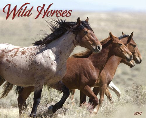 Wild Horses 2011 Wall Calendar (9781607552246) by Willow Creek Press