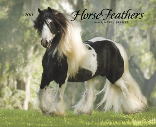 Horse Feathers 2011 Wall Calendar (9781607552321) by Willow Creek Press