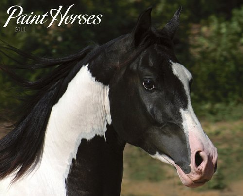 Paint Horses 2011 Wall Calendar (9781607552406) by Willow Creek Press