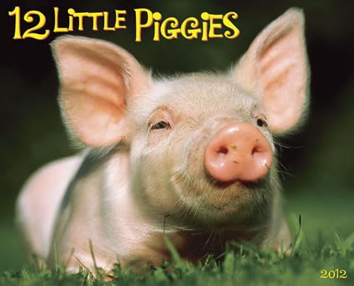 9781607552703: 12 Little Piggies 2012 Calendar