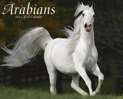 Arabians 2012 Calendar (9781607552758) by Willow Creek Press