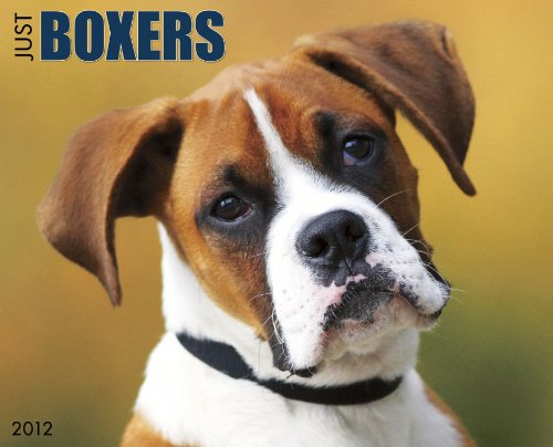 Just Boxers 2012 Calendar (9781607552963) by Willow Creek Press