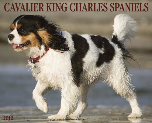 Cavalier King Charles Spaniels 2012 Calendar (9781607553076) by Willow Creek Press