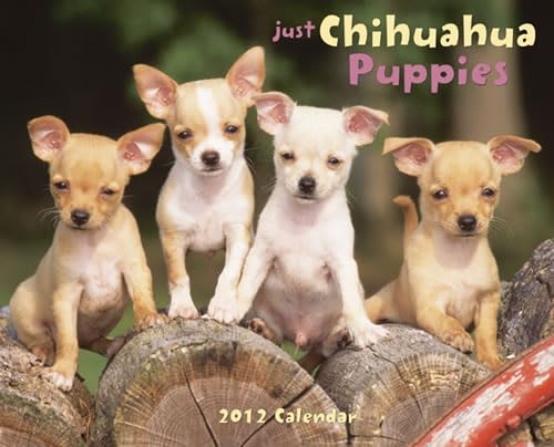 Just Chihuahua Puppies 2012 Calendar (9781607553090) by Willow Creek Press