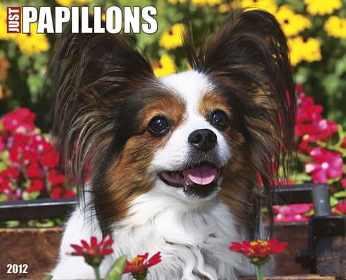 Just Papillons 2012 Calendar (9781607553793) by Willow Creek Press