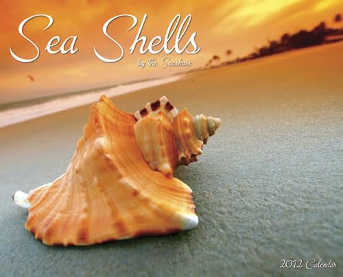 9781607553984: Sea Shells by the Seashore Calendar