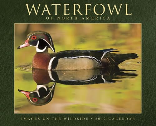 9781607554134: Waterfowl of North America Calendar: Images on the Wildside