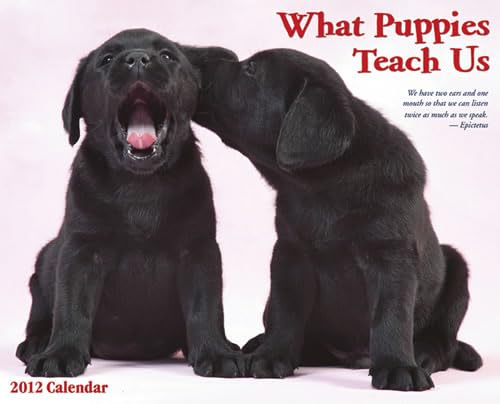 What Puppies Teach Us 2012 Calendar (9781607554202) by Willow Creek Press