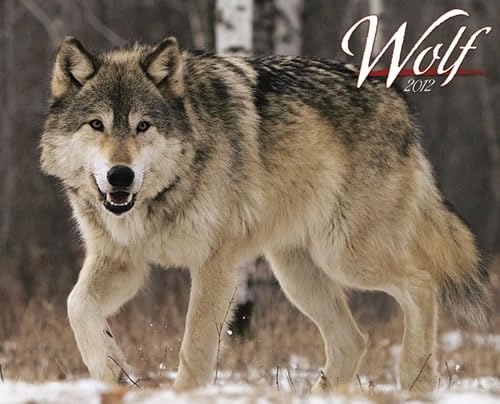 9781607554271: Wolf 2012 Calendar