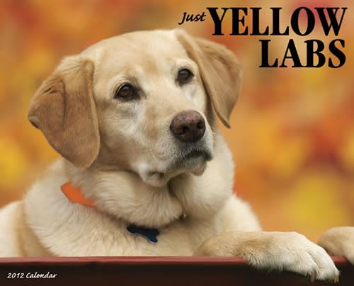 9781607554295: Just Yellow Labs Calendar (Just (Willow Creek))