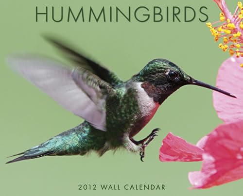 9781607554509: Hummingbirds Wall Calender