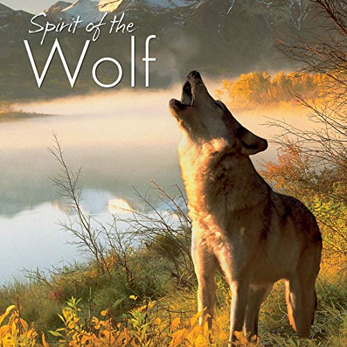 Stock image for Spirit of the Wolf for sale by Better World Books