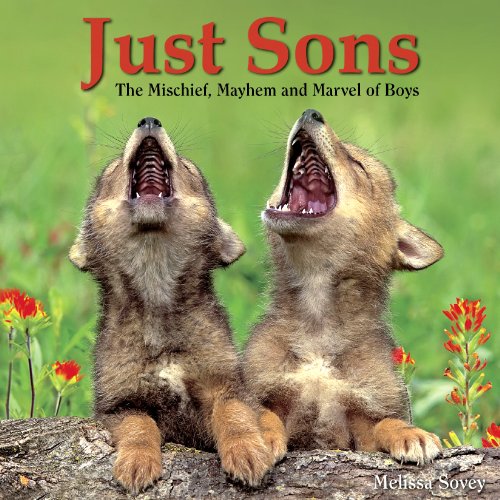 Beispielbild fr Just Sons: The Mischief, Mayhem and Marvel of Boys zum Verkauf von ThriftBooks-Dallas