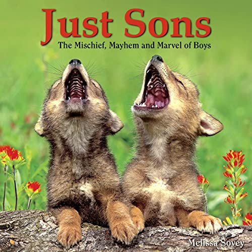 Imagen de archivo de Just Sons: The Mischief, Mayhem and Marvel of Boys a la venta por SecondSale
