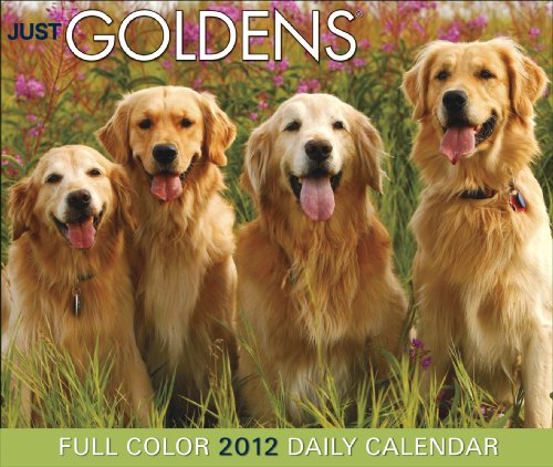 Just Goldens 2012 Calendar (9781607554646) by Willow Creek Press