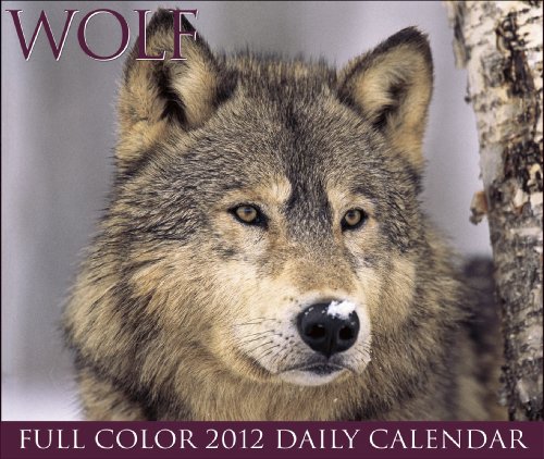 9781607554721: Wolf Daily Calendar