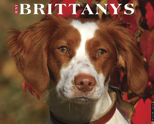 Brittanys 2013 Wall Calendar (9781607555209) by Willow Creek Press