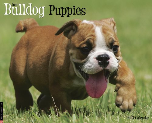 Bulldog Puppies 2013 Wall Calendar (9781607555230) by Willow Creek Press
