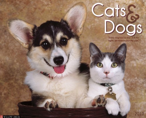 Cats & Dogs 2013 Wall Calendar (9781607555308) by Willow Creek Press