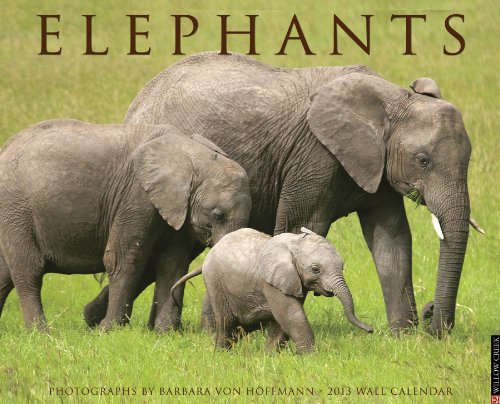 Elephants 2013 Calendar (9781607555551) by Willow Creek Press