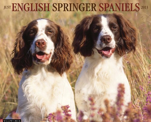 English Springer Spaniels 2013 Wall Calendar (9781607555568) by Willow Creek Press