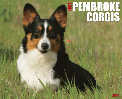 Just Pembroke Corgis 2013 Calendar (9781607556138) by Willow Creek Press