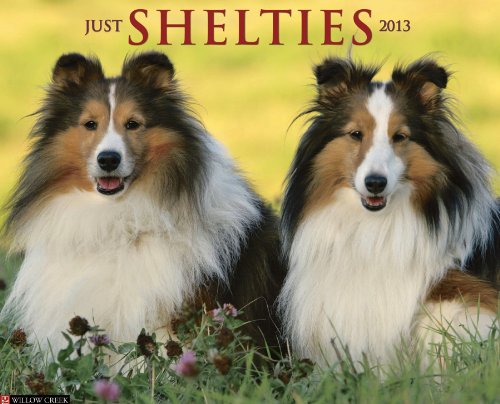 Just Shelties 2013 Calendar (9781607556343) by Willow Creek Press