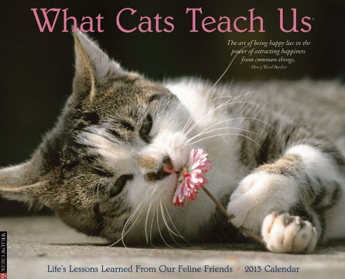 9781607556534: What Cats Teach Us 2013 Calendar