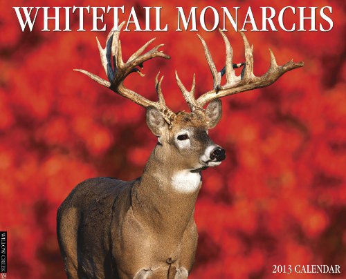Whitetail Monarchs 2013 Wall Calendar (9781607556596) by Willow Creek Press
