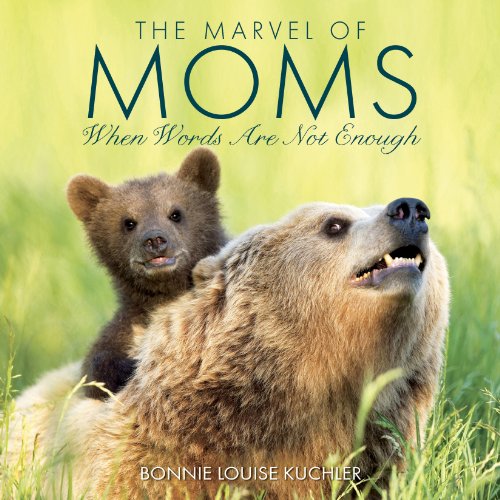 Stock image for The Marvel Of Moms for sale by SecondSale