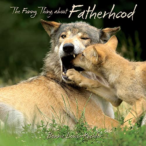 Imagen de archivo de Funny Thing about Fatherhood a la venta por Better World Books