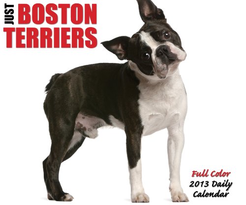 Just Boston Terriers 2013 Box Calendar (9781607557067) by Willow Creek Press