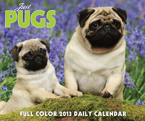 Just Pugs Daily Calendar 2013 (9781607557111) by Willow Creek Press